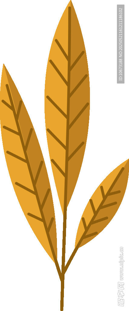金黃葉片插畫