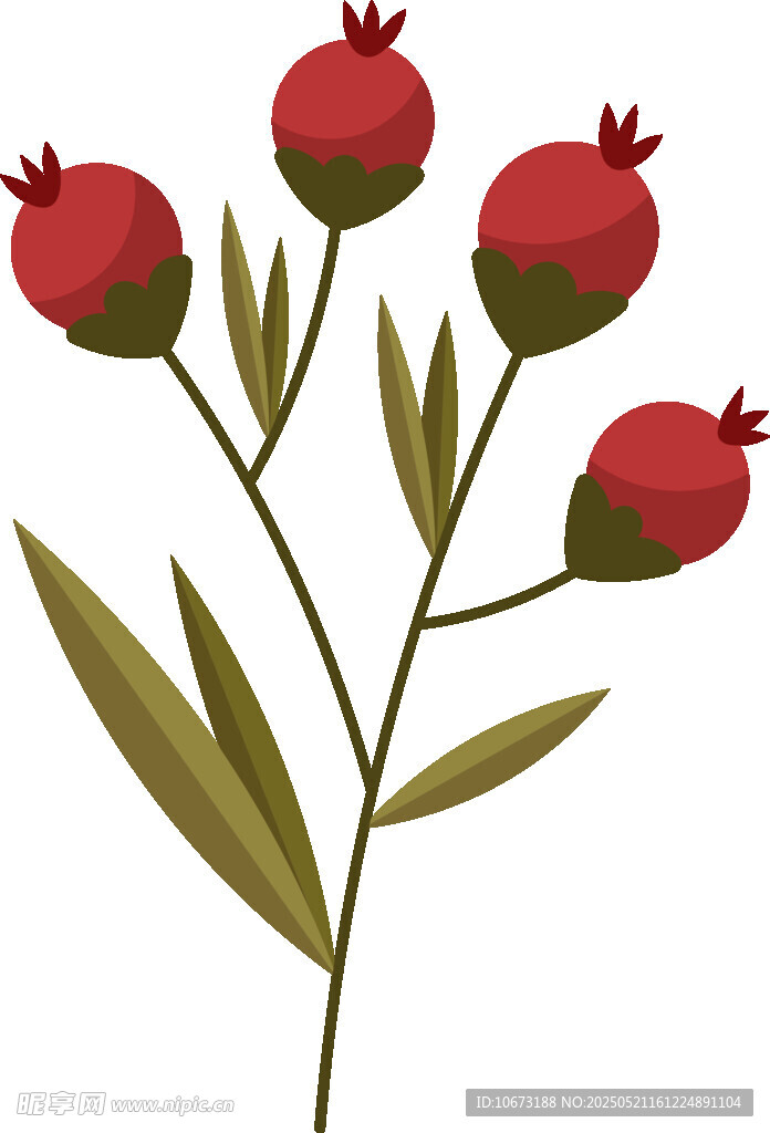 紅色花苞植物插畫