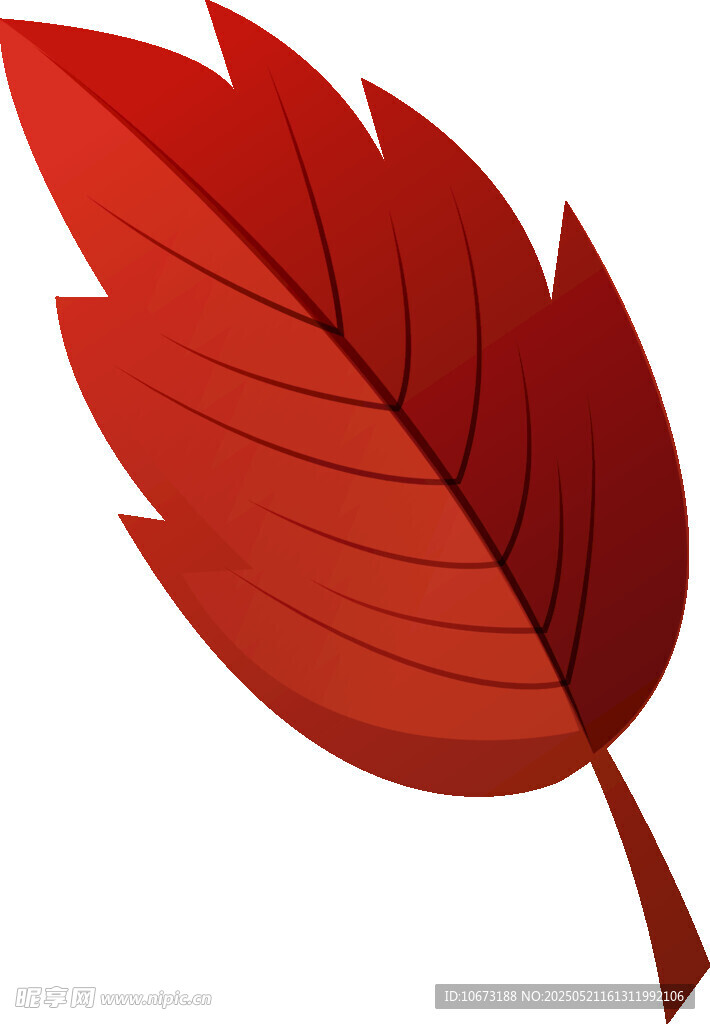 紅色楓葉插畫