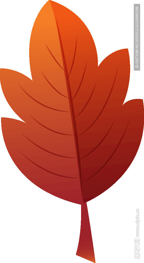 橙紅色楓葉插畫