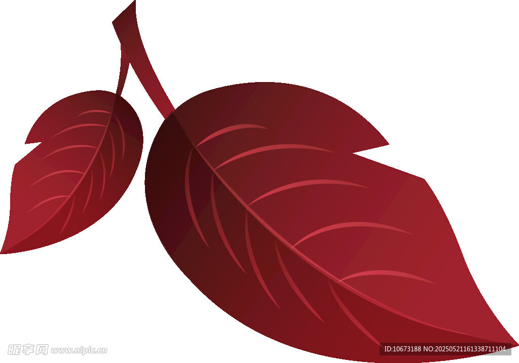 兩片深紅葉片插畫