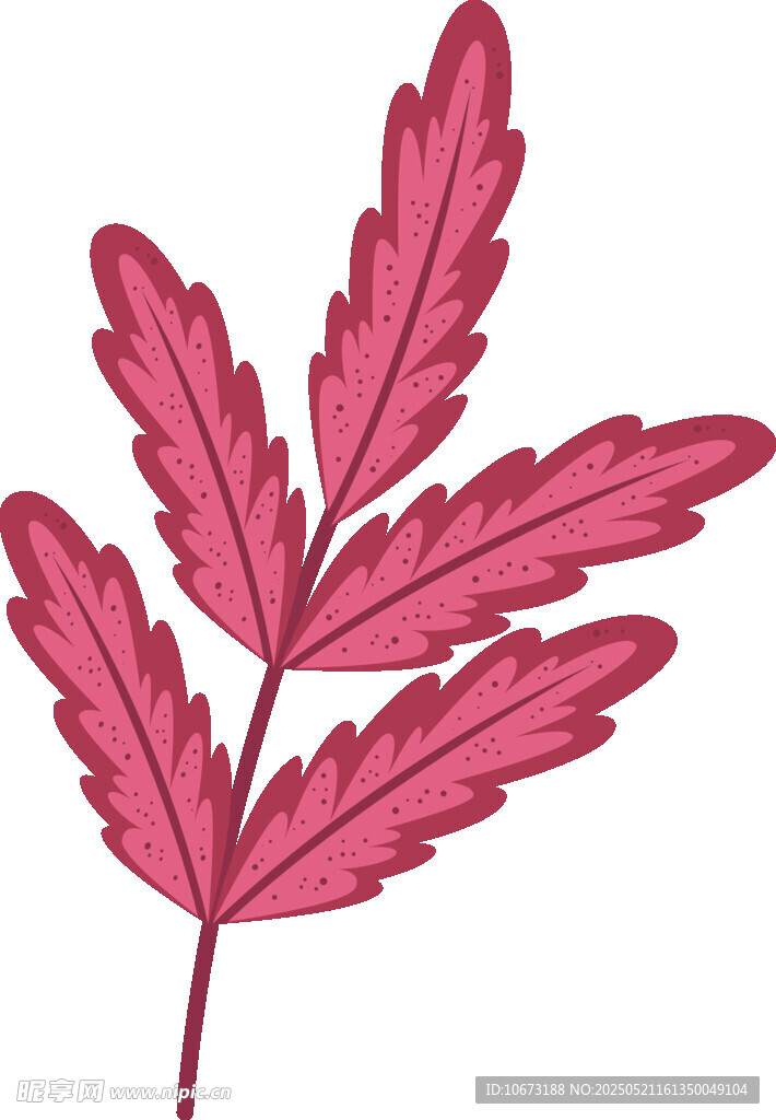 紅色羽狀葉片插畫
