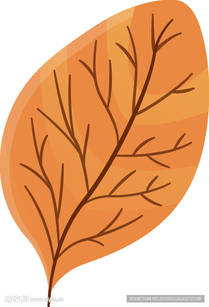 橙色秋葉插畫