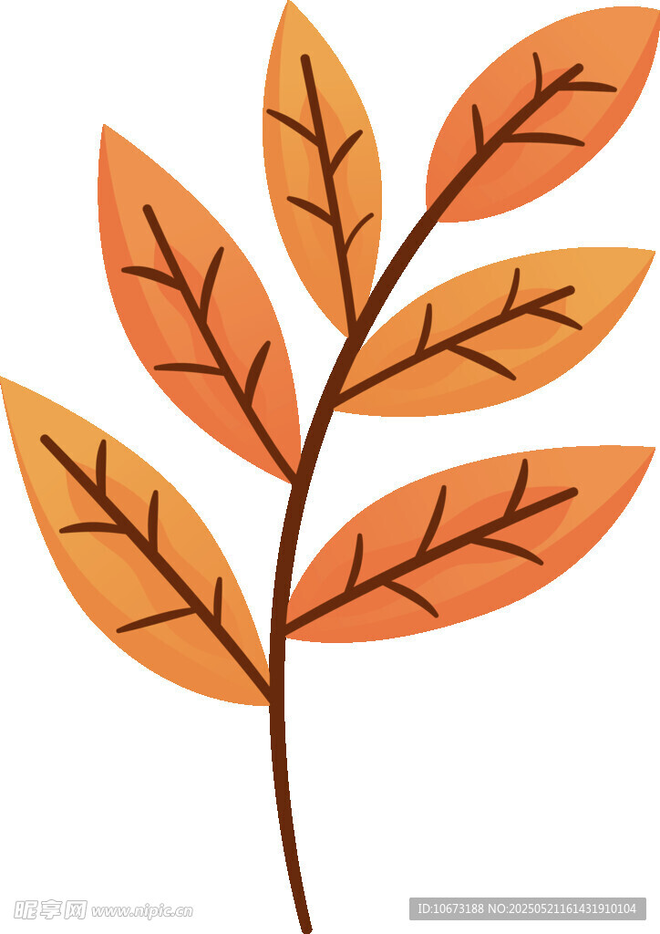 秋季橙黃葉片插畫(huà)