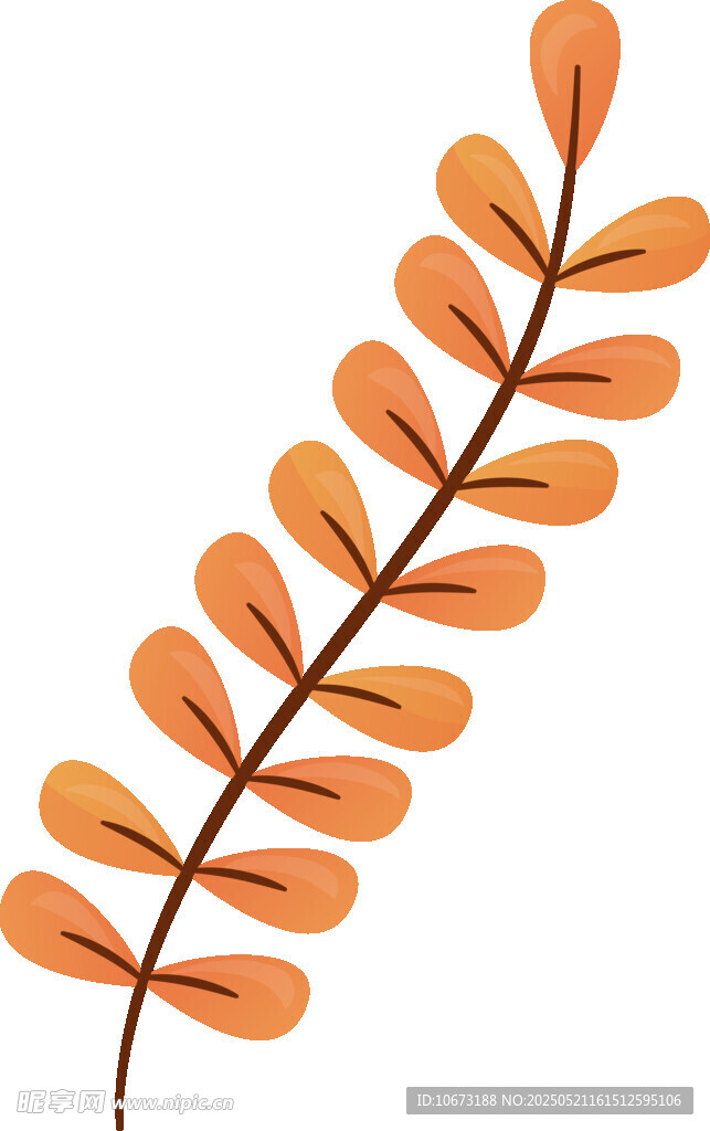 橙色葉片植物枝條插畫