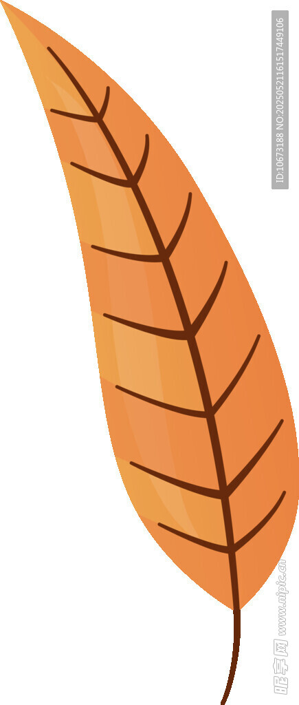 橙色葉片插畫