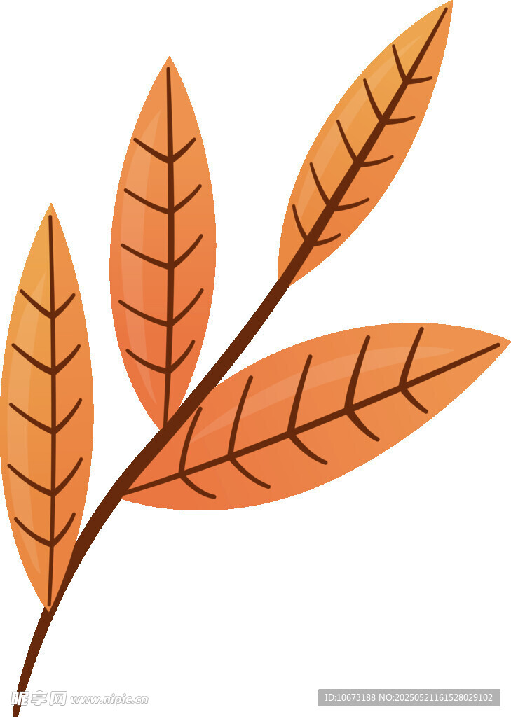 橙色葉片插畫