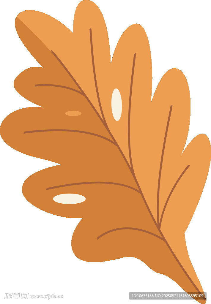 橙色楓葉插畫
