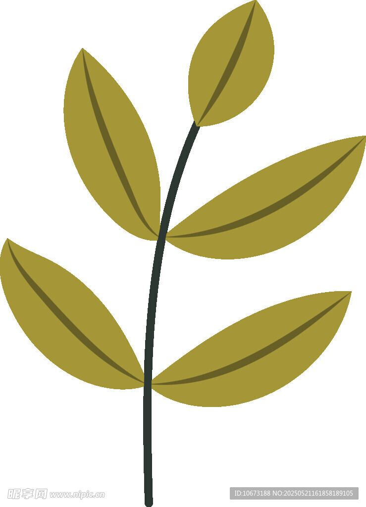簡約綠葉植物插畫