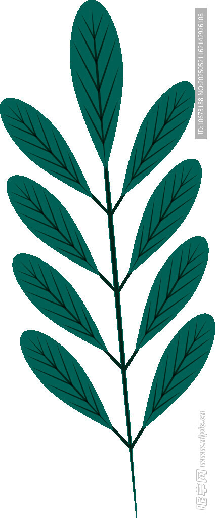 綠色葉片植物插畫元素