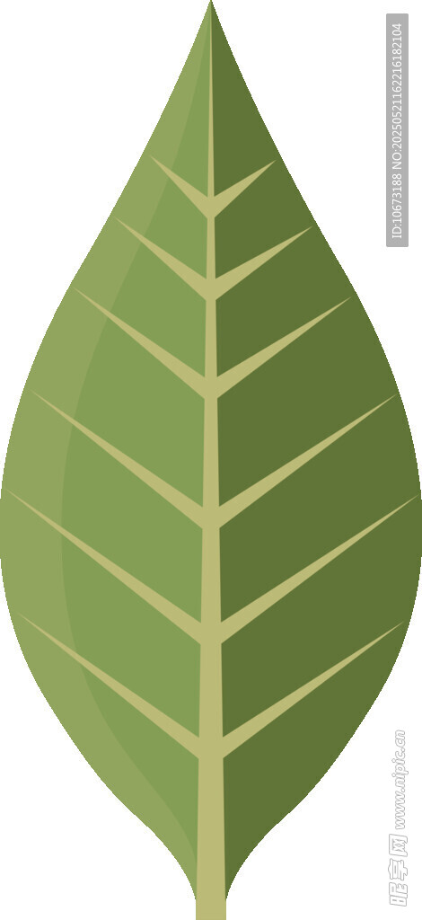 綠色葉片插畫