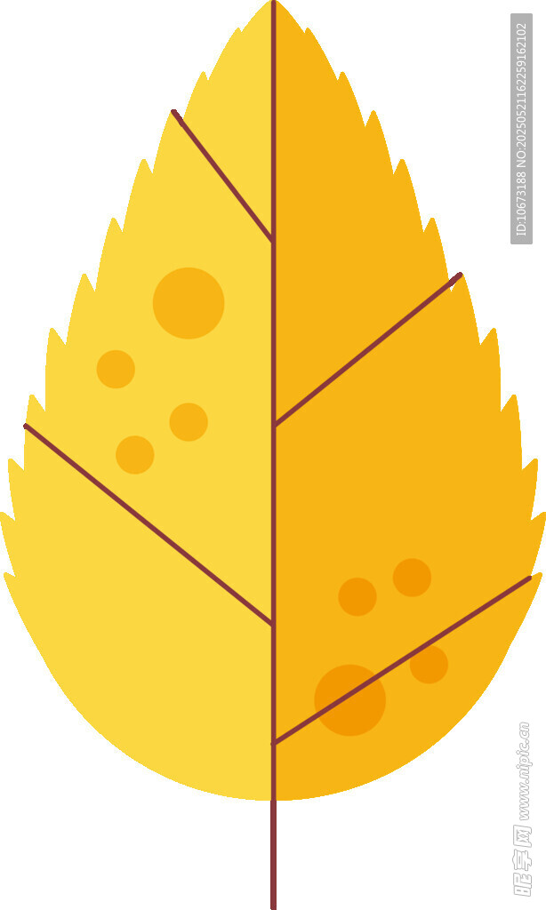 黃色斑點(diǎn)葉片插畫(huà)