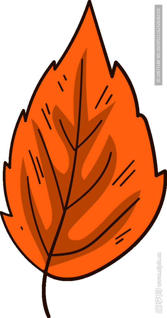 橙色楓葉插畫