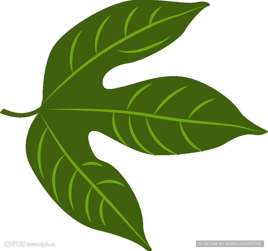 綠色三葉植物葉片圖案