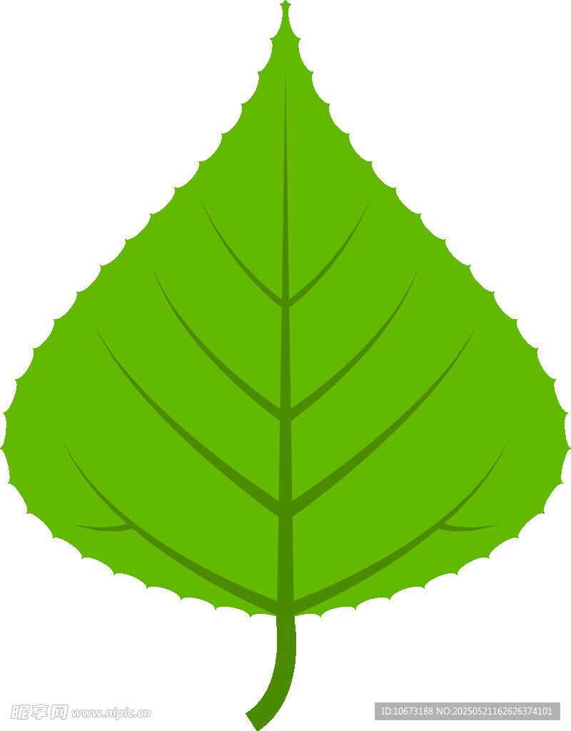 綠色心形葉片插畫