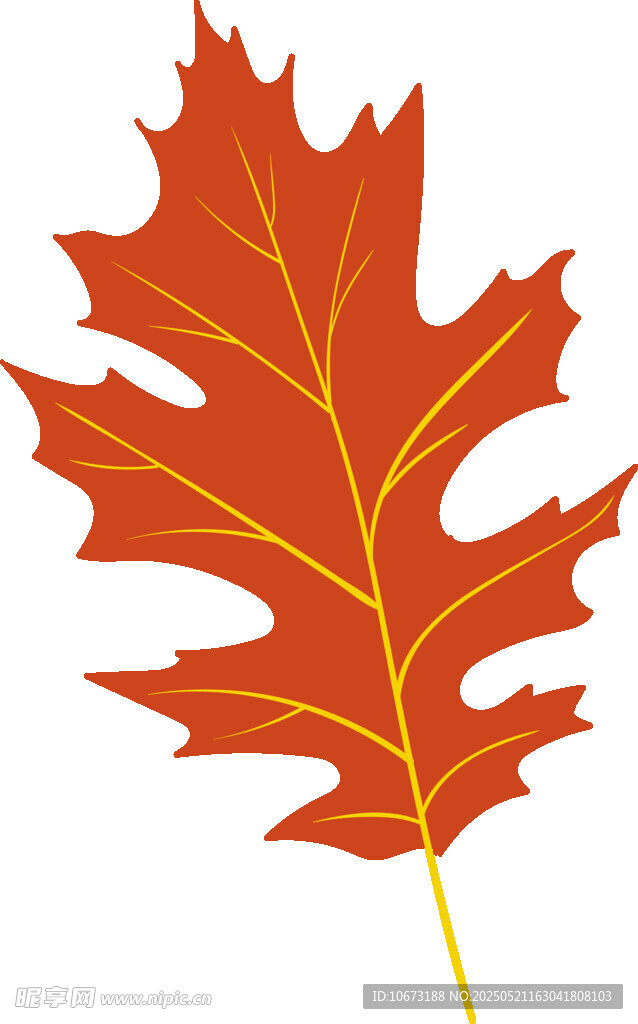 紅色楓葉插畫