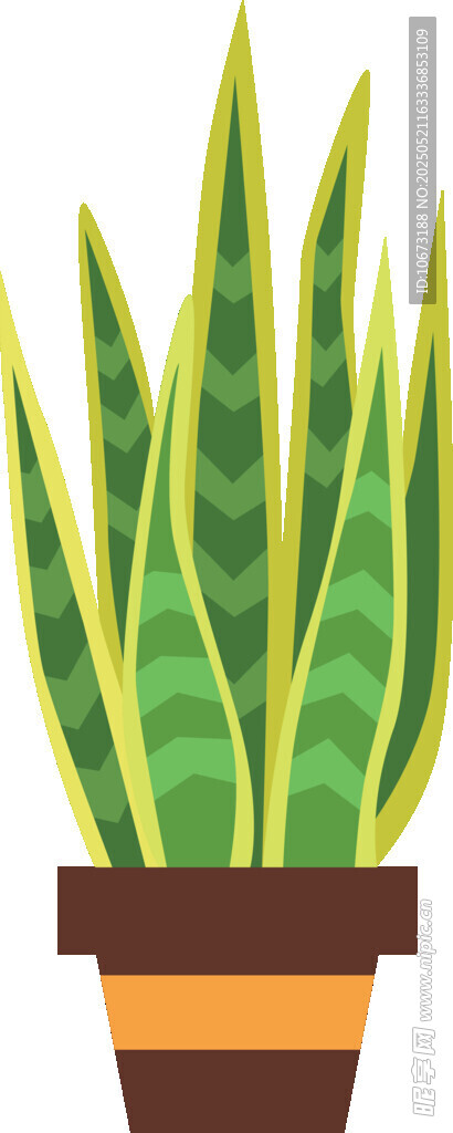 條紋綠植盆栽