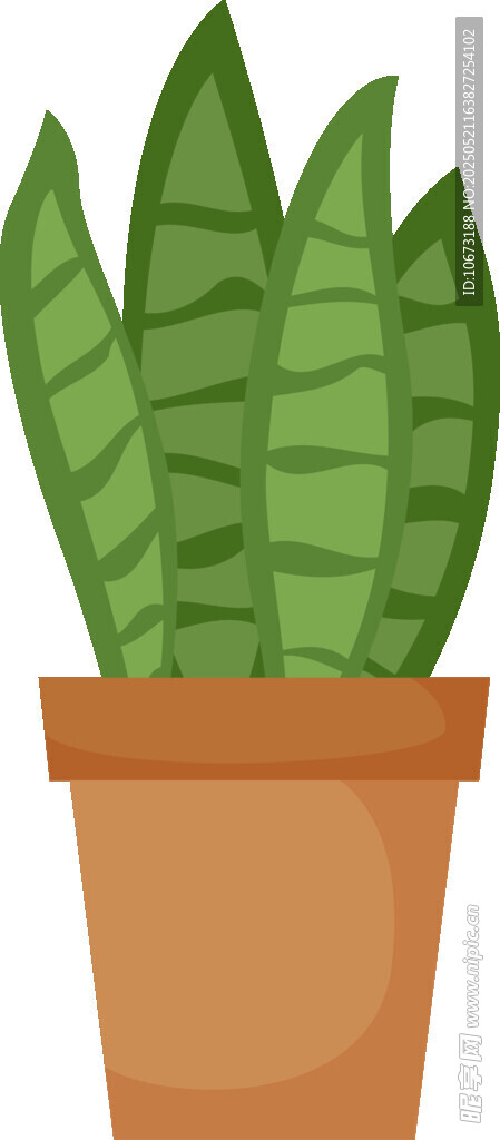 盆栽綠植