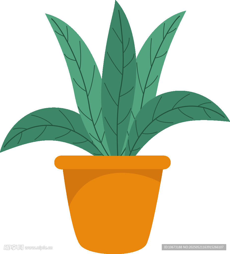橙色花盆中的綠植