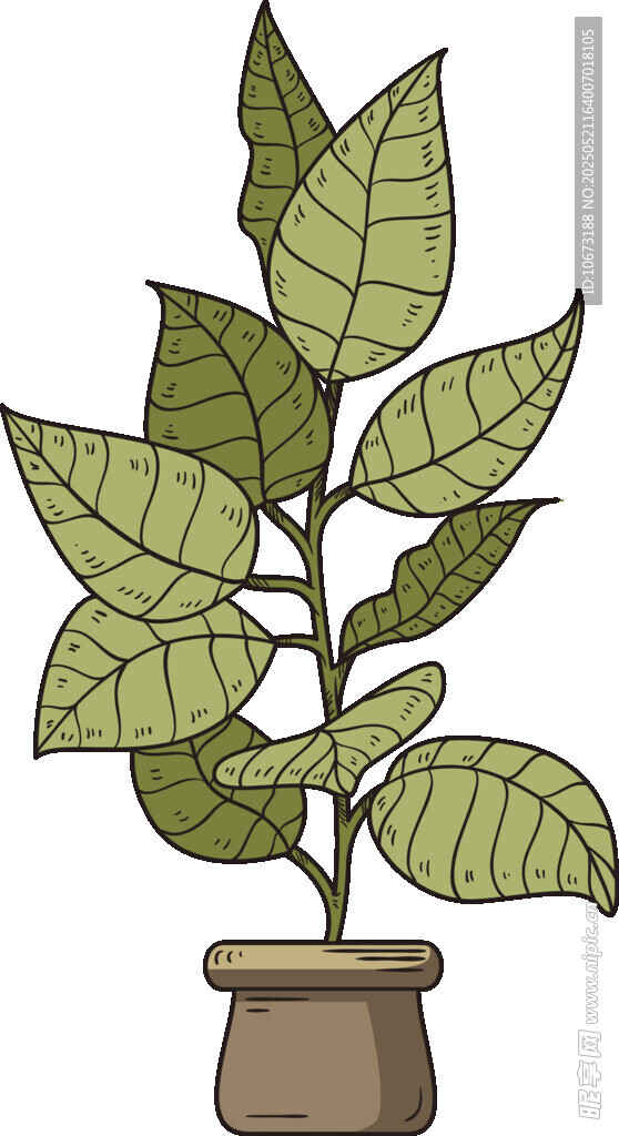 盆栽綠植插畫