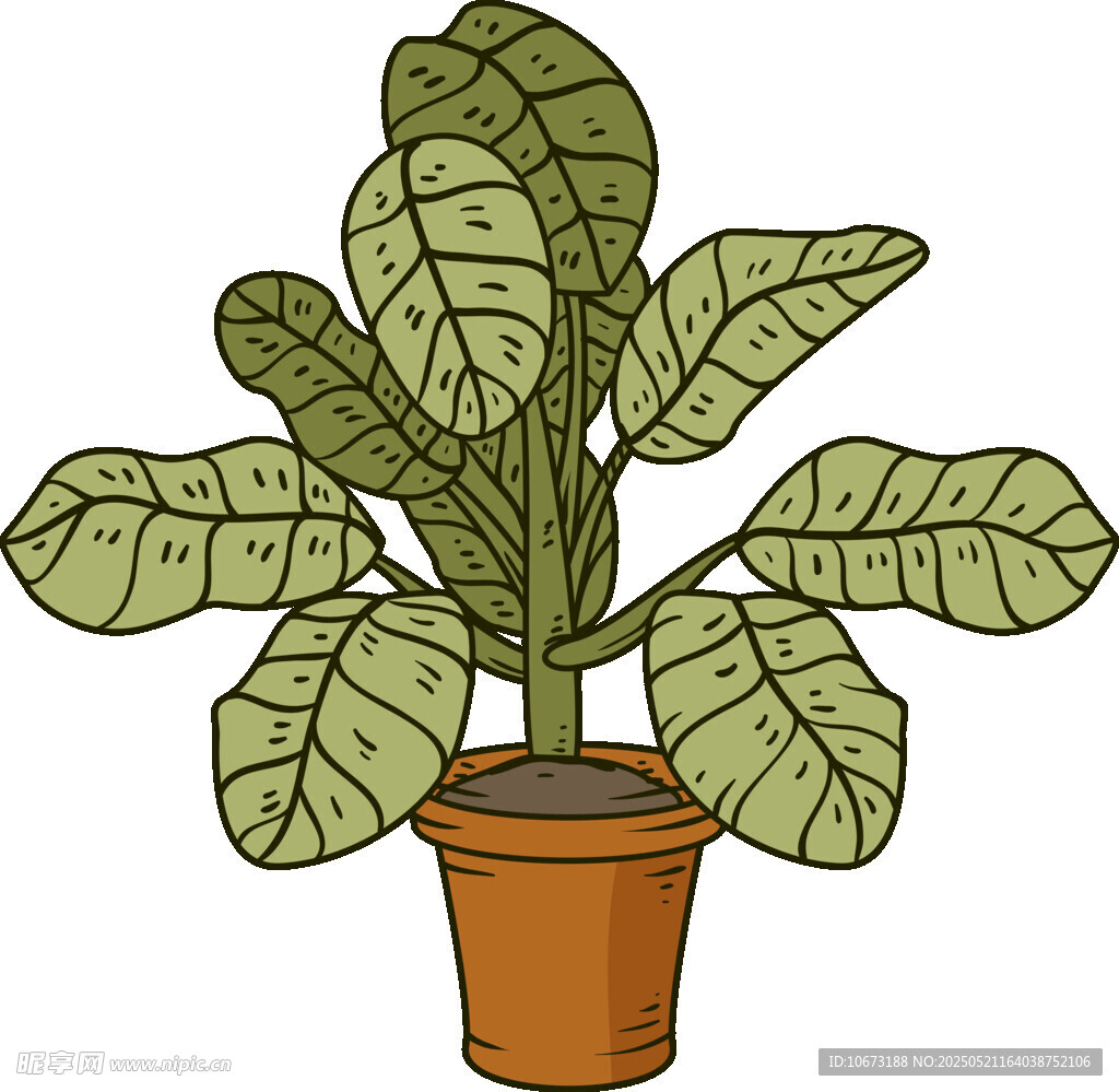 盆栽綠植插畫