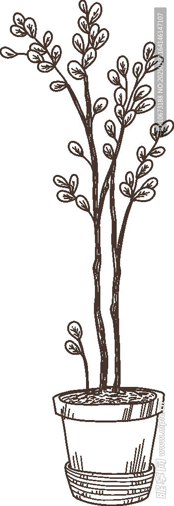 盆栽植物手繪插畫