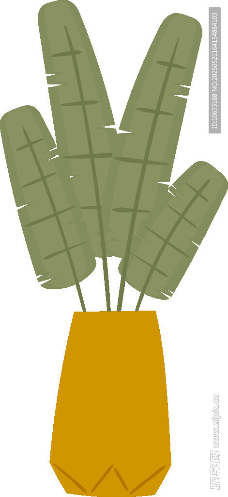 花瓶中插著的寬大葉片