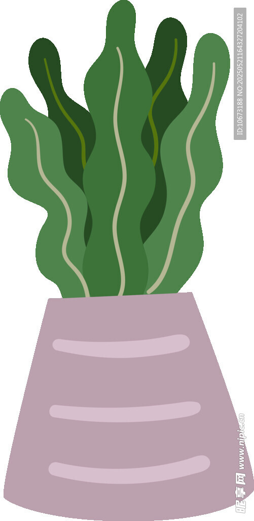 紫色花盆中的綠色植物