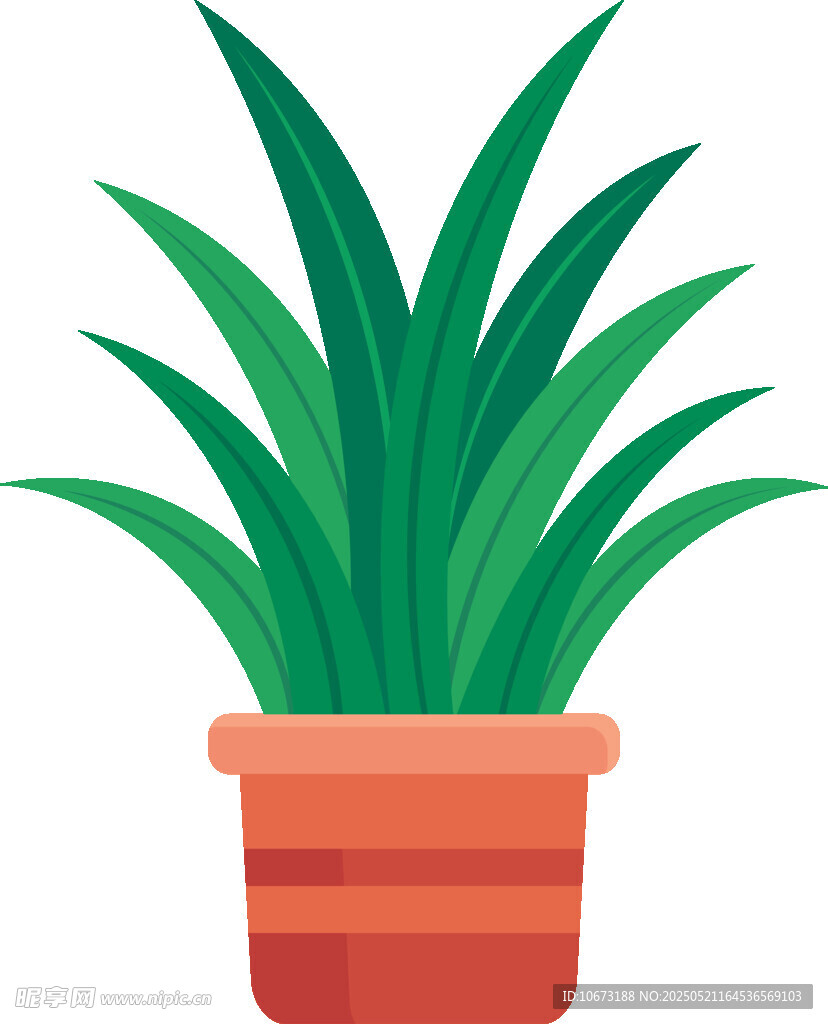 盆栽綠植 清新室內(nèi)小植物