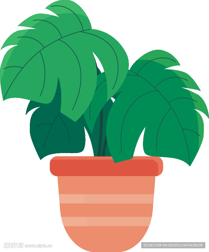 盆栽綠植插畫