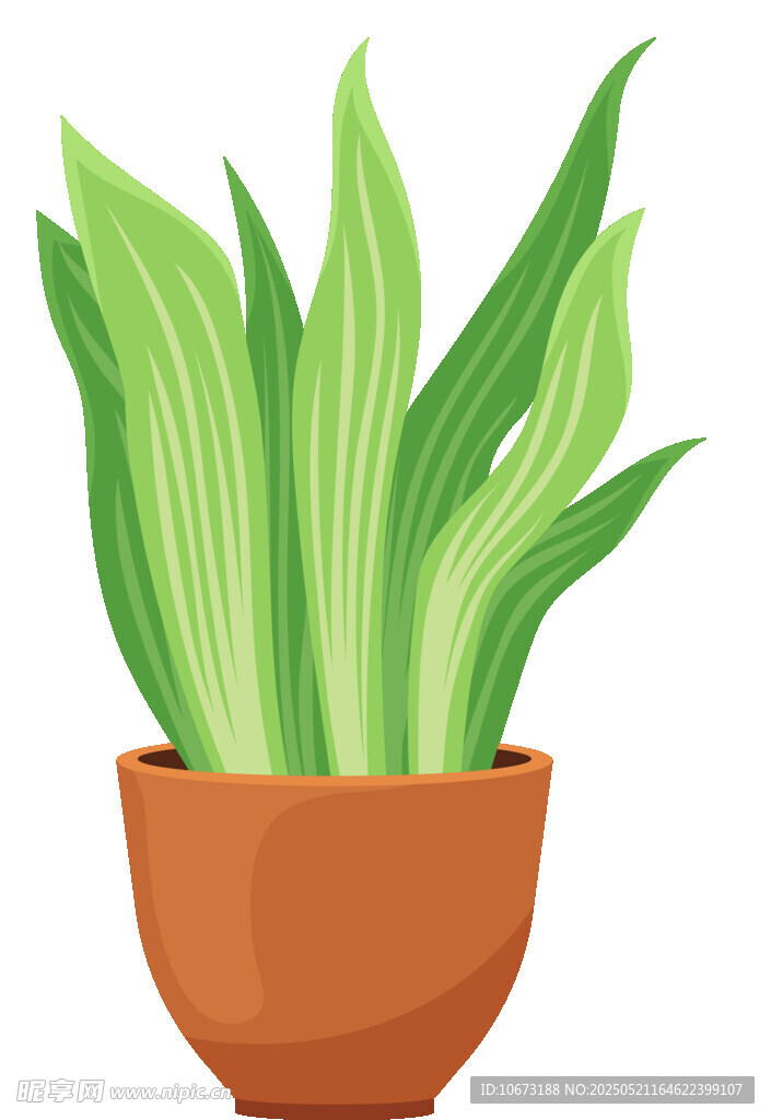 盆栽綠植 清新室內(nèi)小植物