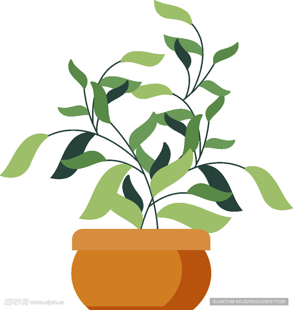 盆栽綠植 清新室內(nèi)小植物