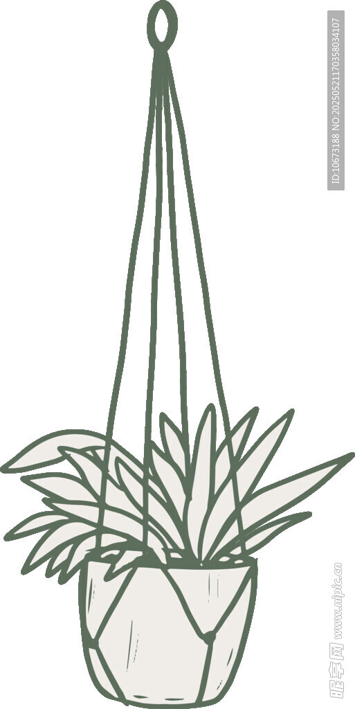 懸掛盆栽植物線條圖