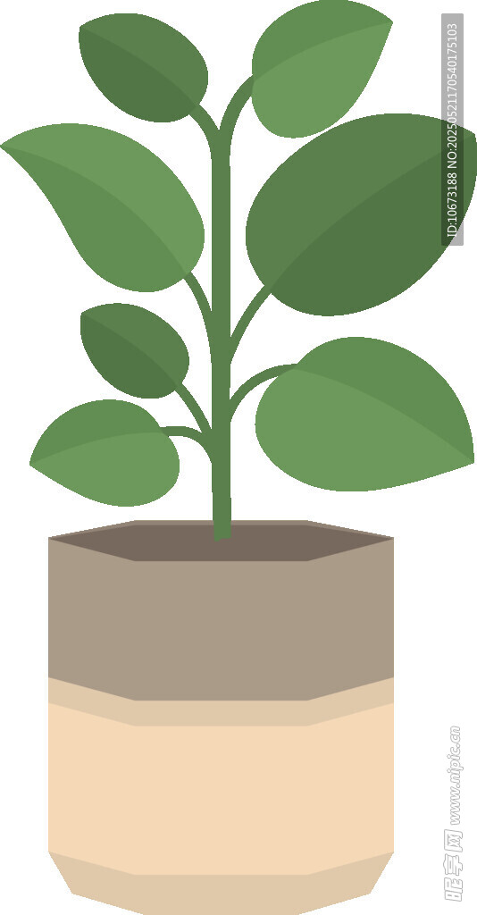 盆栽綠植 清新室內(nèi)小植物