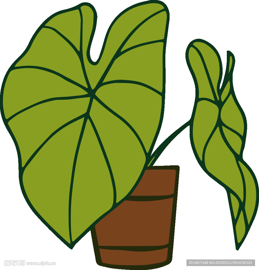盆栽綠植卡通插畫