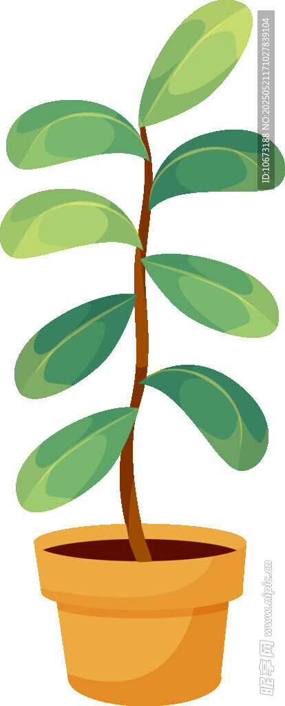 盆栽綠植 清新室內小植物