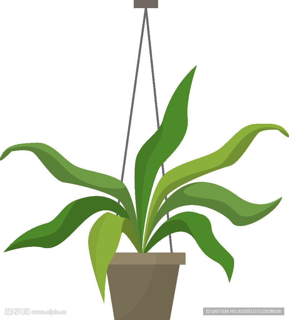 懸掛綠植盆栽