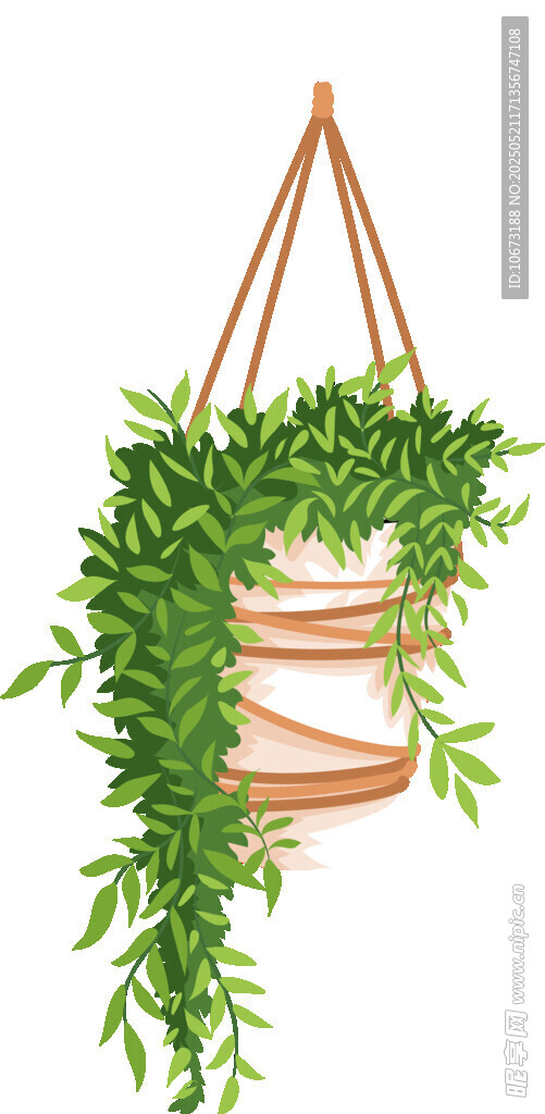 懸掛綠植盆栽