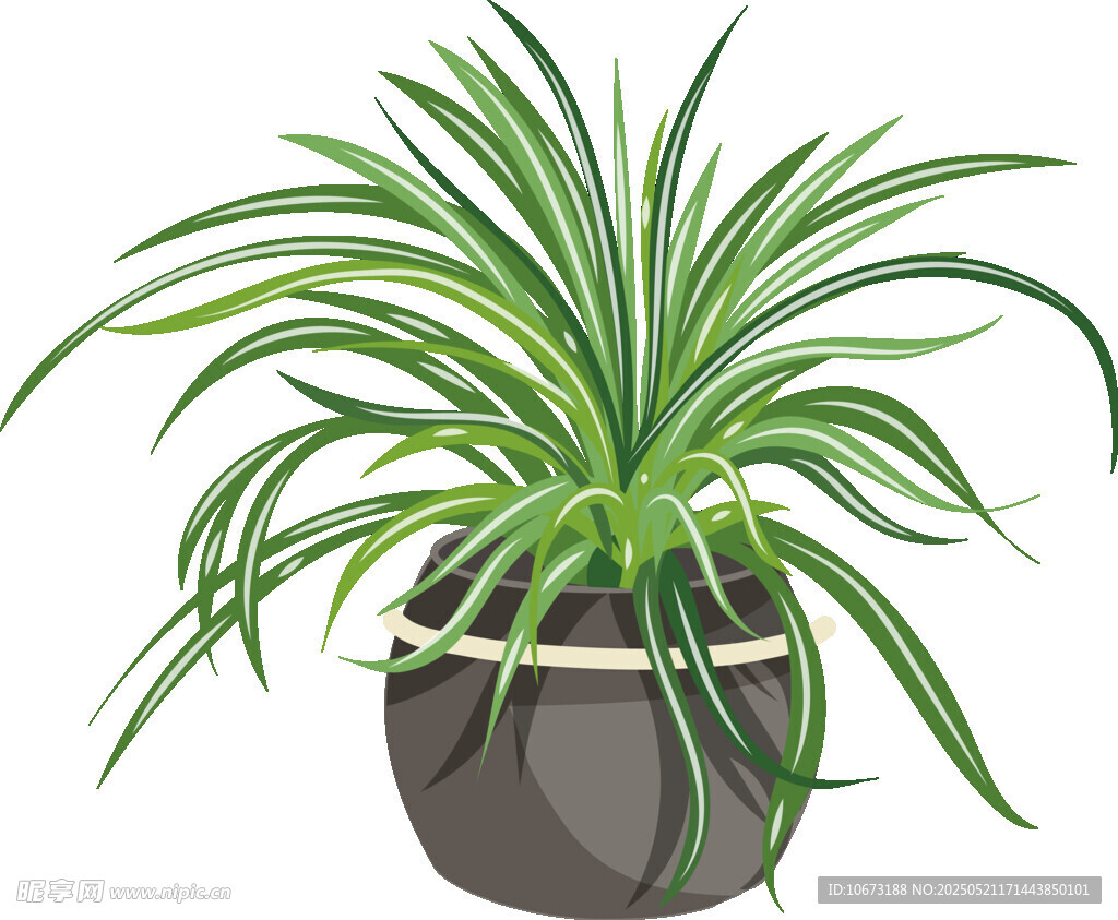 盆栽綠植 清新室內小植物