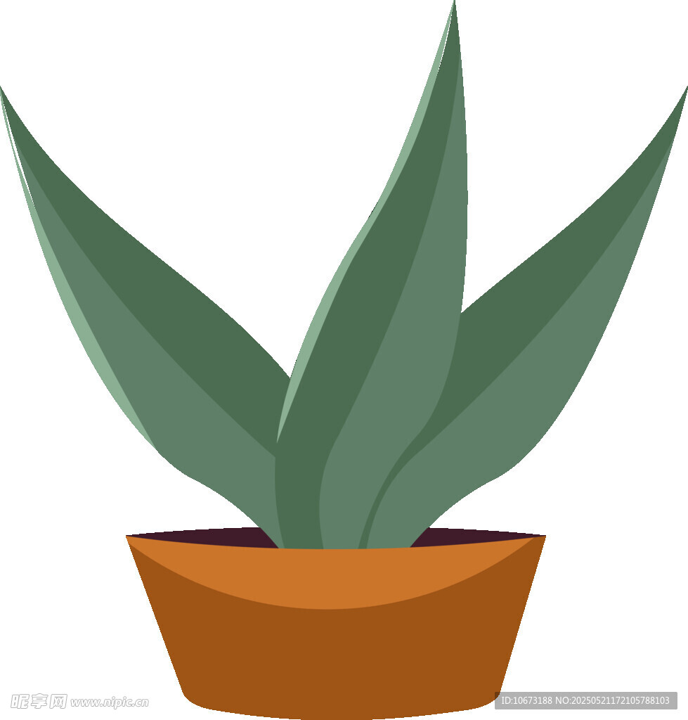 盆栽蘆薈插畫