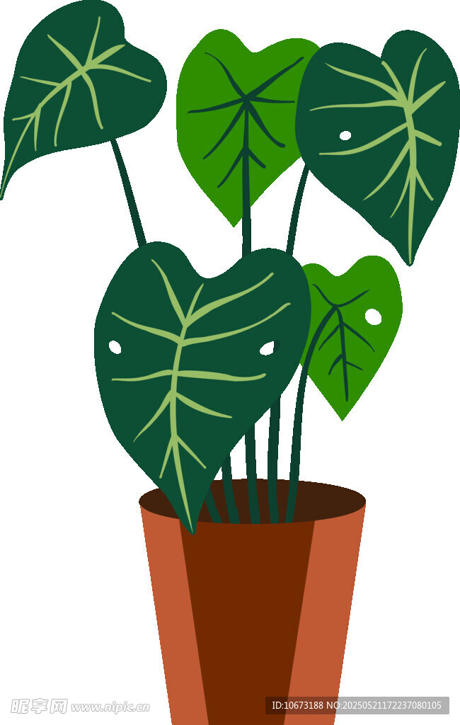 盆栽龜背竹 清新綠植插畫