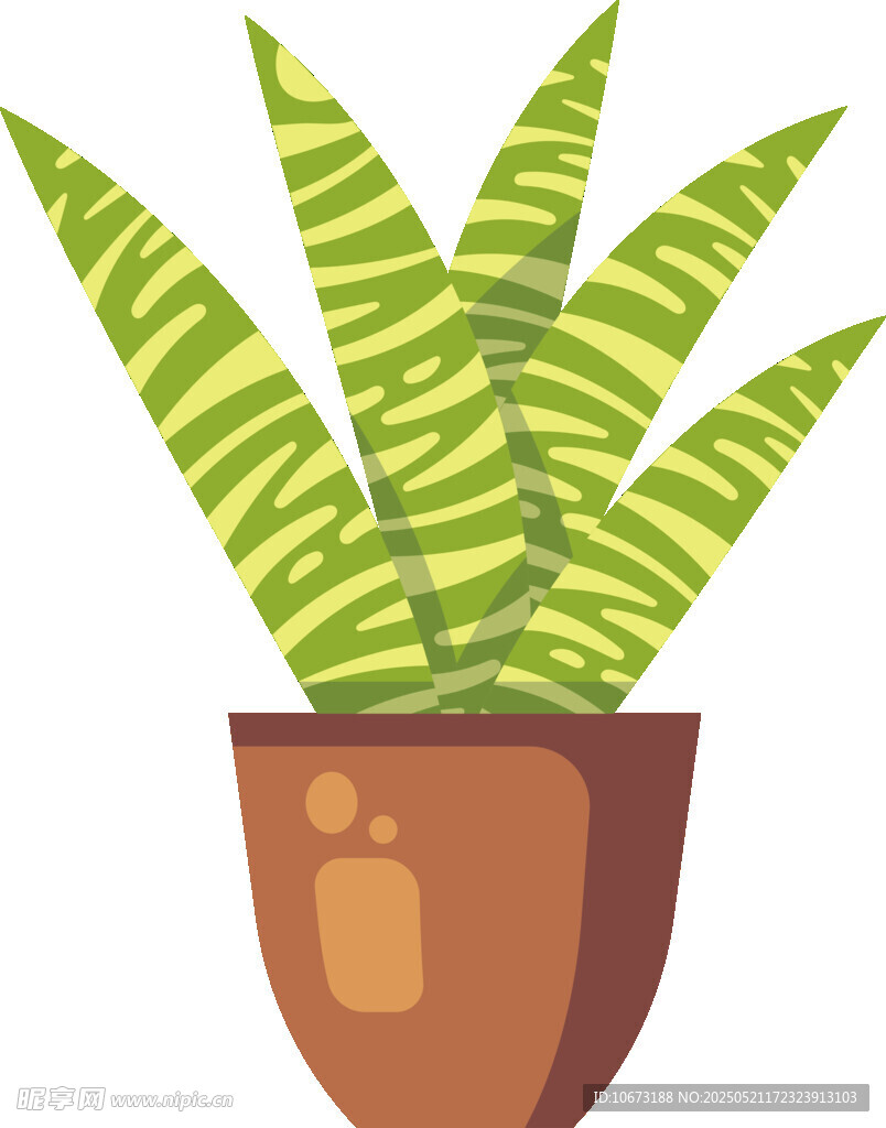 盆栽虎皮蘭插畫
