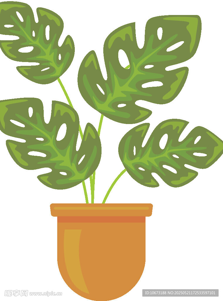 盆栽龜背竹植物插畫