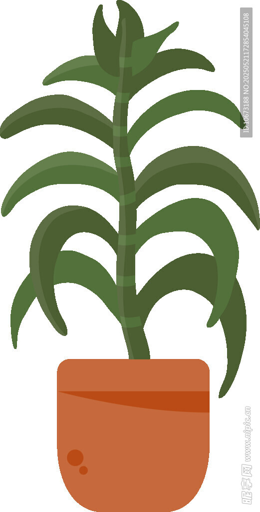 盆栽綠植 清新室內(nèi)小植物