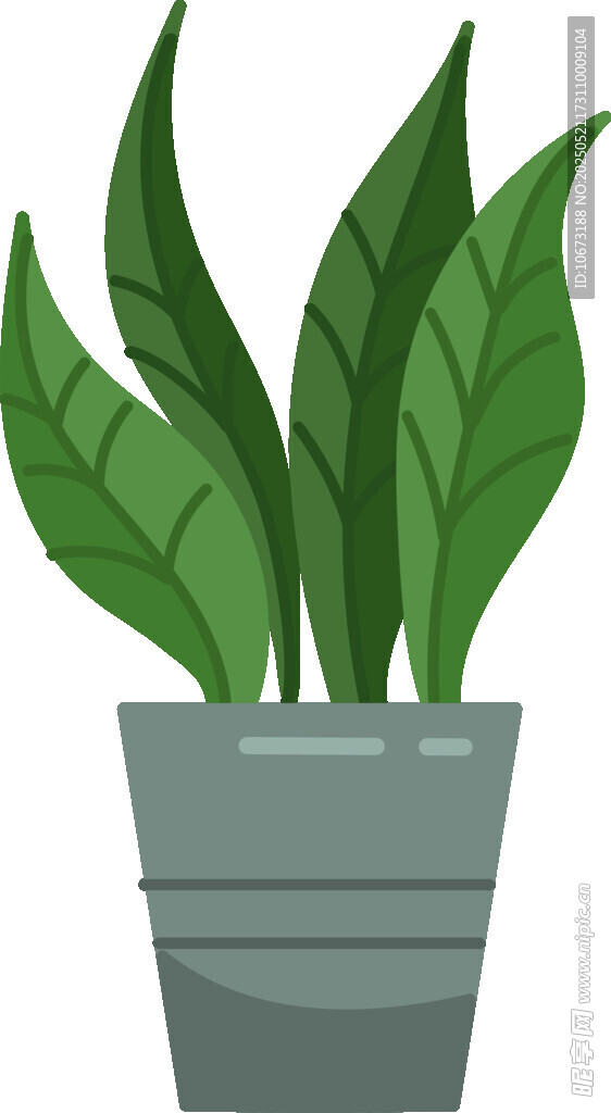 盆栽綠植 清新室內小植物