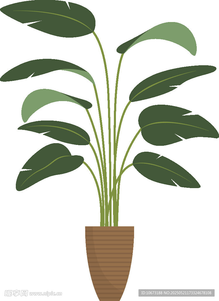 盆栽綠植插畫