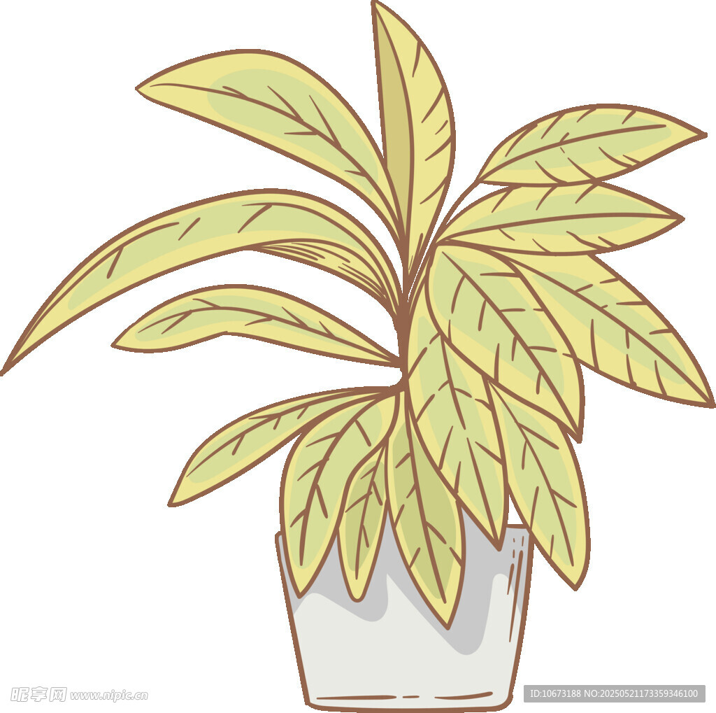 盆栽綠植插畫