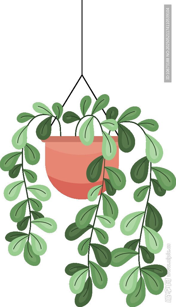 懸掛綠植盆栽