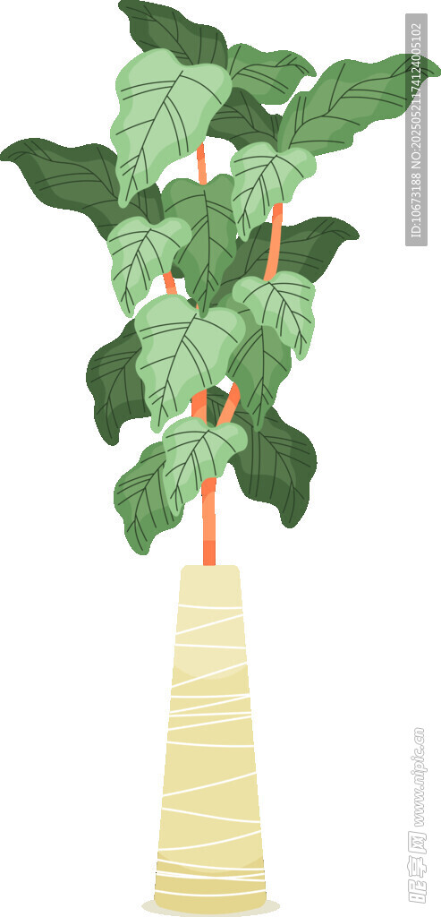 室內綠植龜背竹裝飾擺件