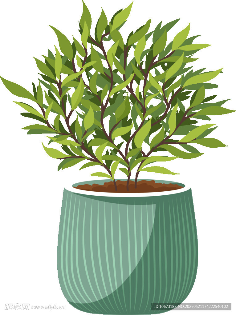 綠色盆栽植物插畫